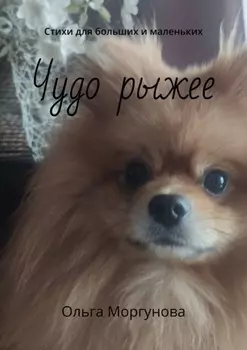 Чудо рыжее. Стихи для больших и маленьких