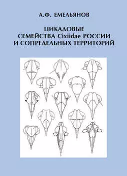 Цикадовые семейства Cixiidae России и сопредельных территорий