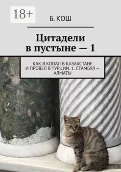Цитадели в пустыне – 1. Как я копал в Казахстане и провел в Турции. 1. Стамбул – Алматы