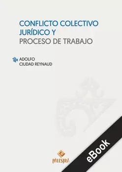 Conflicto colectivo jur?dico y proceso de trabajo