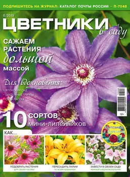 Цветники в саду №08/2019