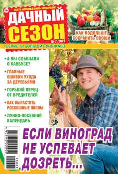 Дачный сезон №07/2019