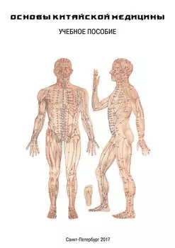 ДАО Рейки-Иггдрасиль. Основы китайской медицины. Учебный курс