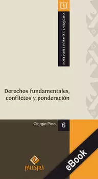 Derechos fundamentales, conflictos y ponderaci?n