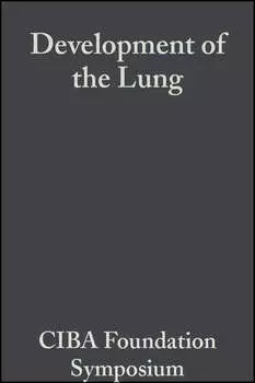 Development of the Lung