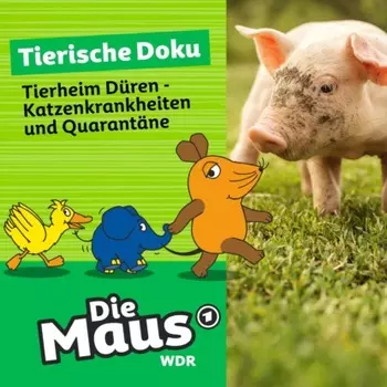 Die Maus, Tierische Doku, Folge 8: Tierheim D?ren - Katzenkrankheiten und Quarant?ne