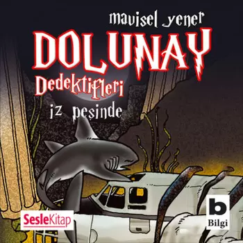 Dolunay Dedektifleri 1 – z peinde