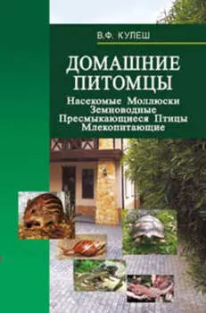 Домашние питомцы: Насекомые. Моллюски. Земноводные. Пресмыкающиеся. Птицы. Млекопитающие