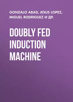 Doubly Fed Induction Machine