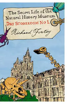 Dry Store Room No. 1: The Secret Life of the Natural History Museum