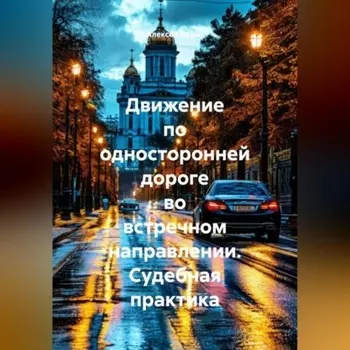 Движение по односторонней дороге во встречном направлении. Судебная практика