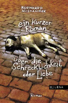 Ein kurzer Roman ?ber die Schrecklichkeit der Liebe