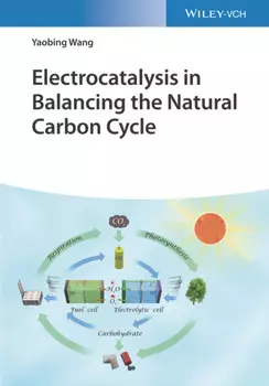Electrocatalysis in Balancing the Natural Carbon Cycle