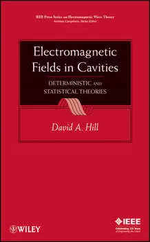 Electromagnetic Fields in Cavities