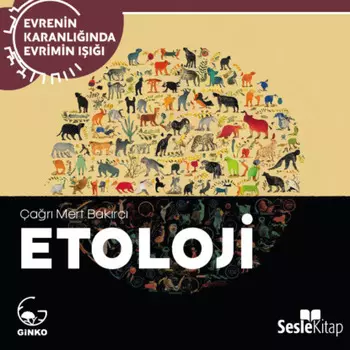EVRENN KARANLIINDA EVRMN III BOLUM 8 / ANTROPOLOJI - Insan Anlamak...