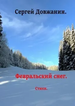 Февральский снег