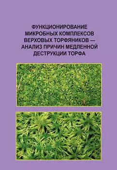 Функционирование микробных комплексов верховых торфяников – анализ причин медленной деструкции торфа