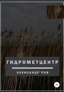 Гидрометцентр