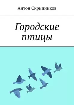 Почтовый голубь