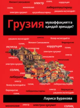 Грузия муваффаиятга андай эришди