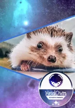 Хозяева Милоты