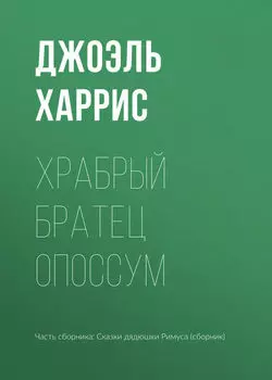 Храбрый Братец Опоссум