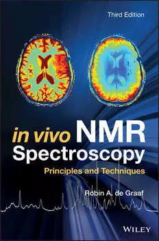 In Vivo NMR Spectroscopy. Principles and Techniques