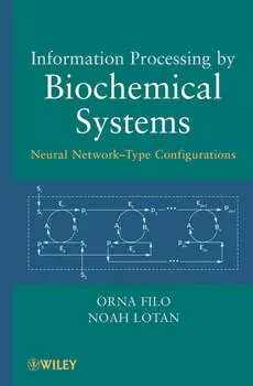 Information Processing by Biochemical Systems. Neural Network-Type Configurations