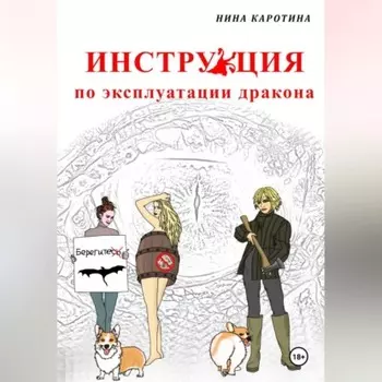 Инструкция по эксплуатации дракона