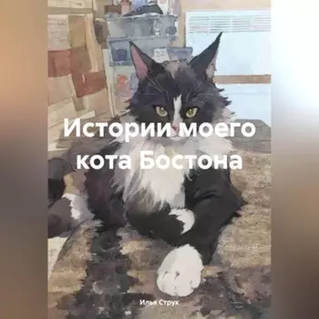 Истории моего кота Бостона