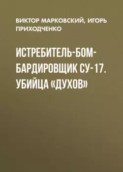 Истребитель-бомбардировщик Су-17. Убийца «духов»