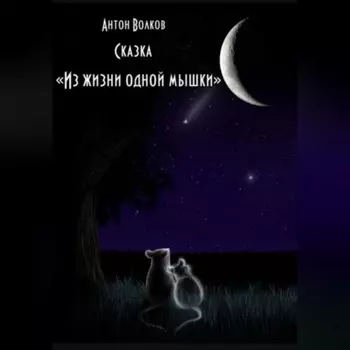 Из жизни одной мышки