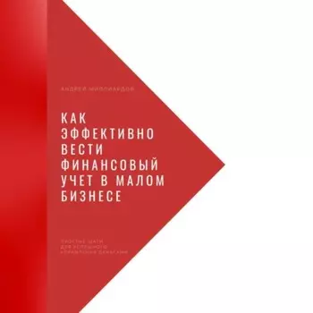 Как эффективно вести финансовый учет в малом бизнесе. Простые шаги для успешного управления деньгами