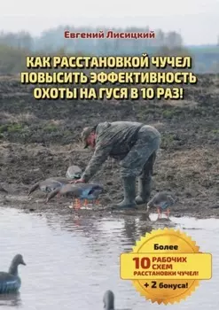 Как расстановкой чучел повысить эффективность охоты на гуся в 10 раз!