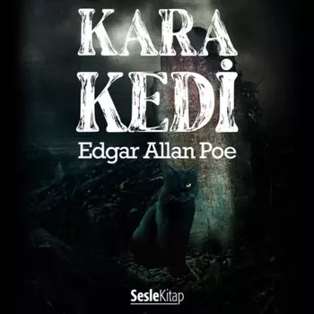 Kara Kedi