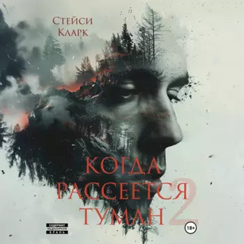 Когда рассеется туман. Книга 2