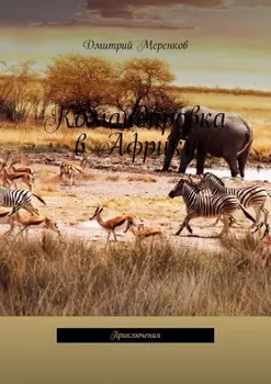 Командировка в Африку. Приключения