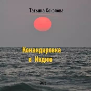 Командировка в Индию