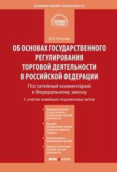 Комментарий к Федеральному закону от 28 декабря 2009 г. № 381-ФЗ «Об основах государственного регулирования торговой деятельности в Российской Федерации» (постатейный)