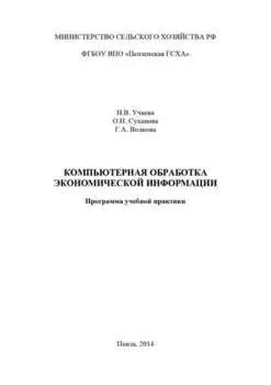 Компьютерная обработка экономической информации