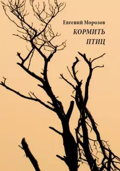 Кормить птиц