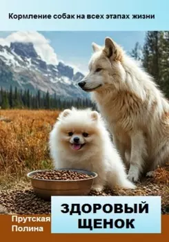 Кормление собак на всех этапах жизни