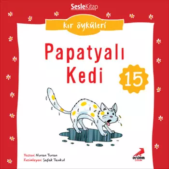 Kr ?yk?leri – Papatyal kedi