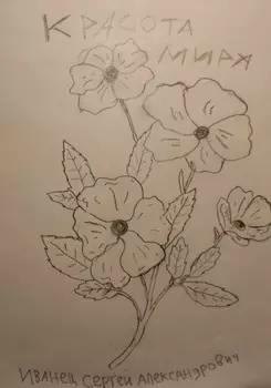 Красота Мира