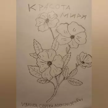 Красота Мира