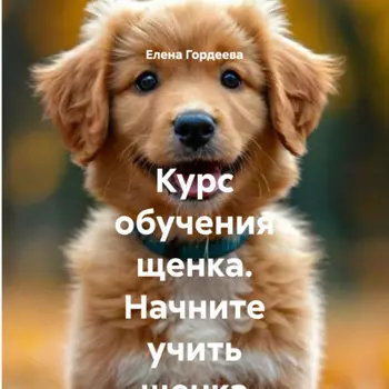 Курс обучения щенка. Начните учить щенка с месячного возраста