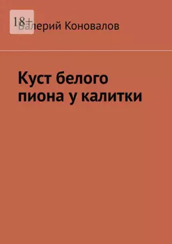 Куст белого пиона у калитки