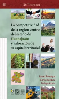 La competitividad de la regi?n centro del estado de Guanajuato y valoraci?n de su capital territorial