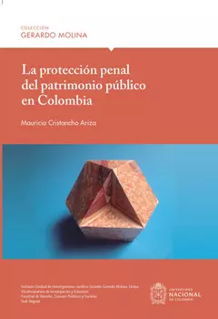 La protecci?n penal del patrimonio p?blico en Colombia