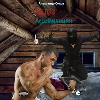 Лед 3. Ассимиляция.